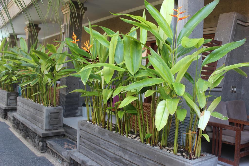 Letos Kubu Homestay Kuta Lombok Exterior foto